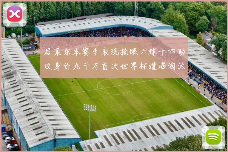 居莱尔本赛季表现抢眼六球十四助攻身价九千万首次世界杯遭遇淘汰