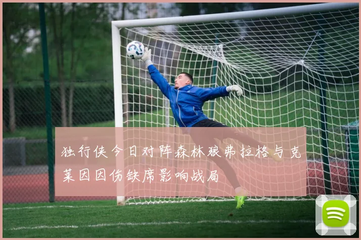 独行侠今日对阵森林狼弗拉格与克莱因因伤缺席影响战局