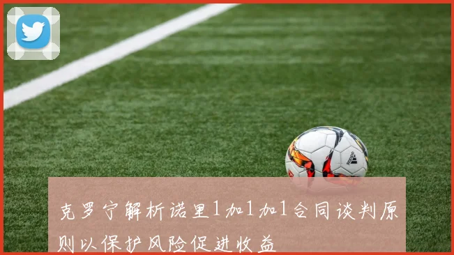 克罗宁解析诺里1加1加1合同谈判原则以保护风险促进收益