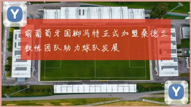 前葡萄牙国脚冯特正式加盟桑德兰教练团队助力球队发展